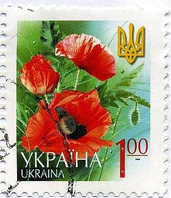Amapolas.jpg