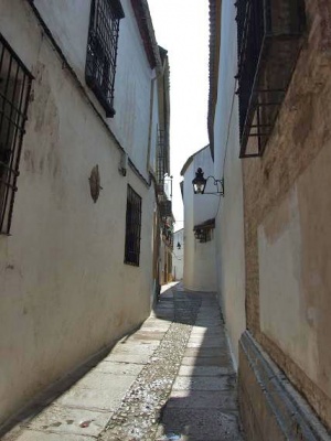 CalleAltadeSantaAna01.jpg