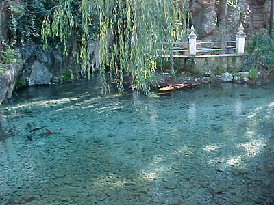 Fuente del Rio autentica (Cabra).JPG