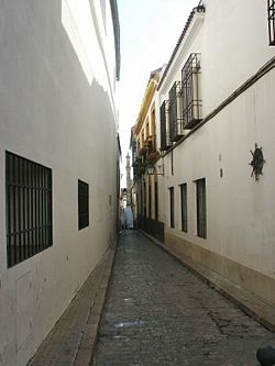 CalleReyHeredia03.jpg