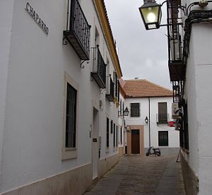 Calle chaparro.JPG