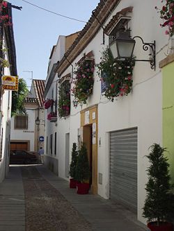 Calle guzmanas.JPG