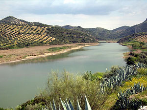 Presa de malpasillo embalse.jpg