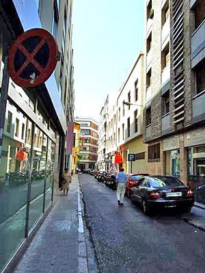 CalleAlonsodeBurgos01.jpg