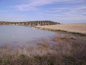 Laguna del rincon del Muerto.JPG