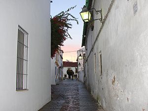 Calle cepas.JPG