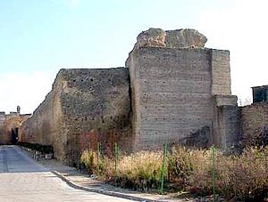 Castillo Palma del Rio.jpg