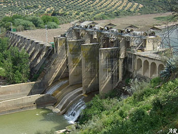 Presa de malpasillo.jpg